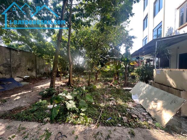 Bán đất Nông nghiệp 50 năm ở Đức Giang Long Biên diện tích rộng 370m giá 2 tỷ 7 - 3