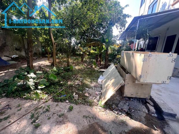 Bán đất Nông nghiệp 50 năm ở Đức Giang Long Biên diện tích rộng 370m giá 2 tỷ 7 - 4