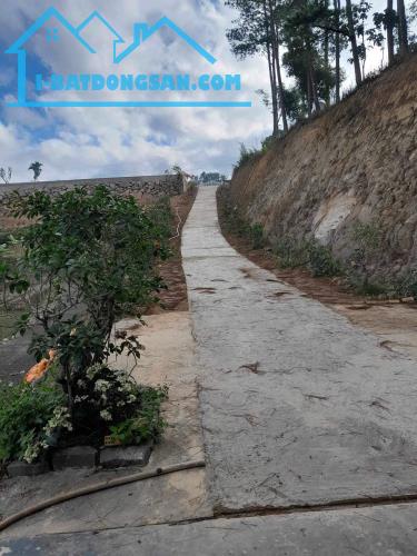 Bán đất sào view đẹp, đường bê tông xã n