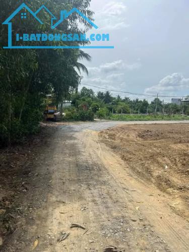 Bán miếng đất hoa hậu 100m2 hương lộ 11 , bình chánh chỉ cách đường đinh đức thiện 500m - 1
