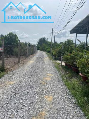Bán miếng đất hoa hậu 100m2 hương lộ 11 , bình chánh chỉ cách đường đinh đức thiện 500m - 2