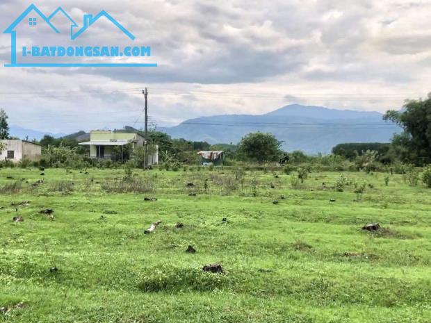 Bán đất Khánh Bình full thổ cư mặt đường bê tông liên thôn rộng 7m - 4