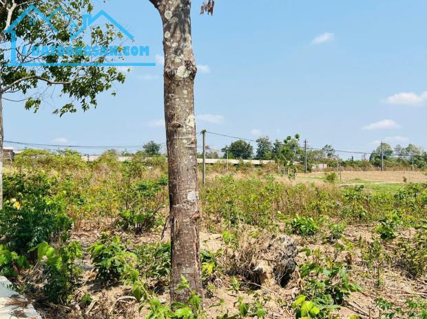📣Bán #Đất 2lô LKe 10x30 #650triệu ngay khu du lịch Troh Bưh Hẻm Tỉnh Lộ 1 Enuol Buôn Đôn - 2