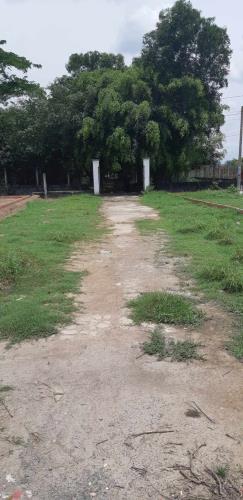 Bán đất chính chủ tại xã Đức Hoà Đông, Đức Hoà, Long An - 3