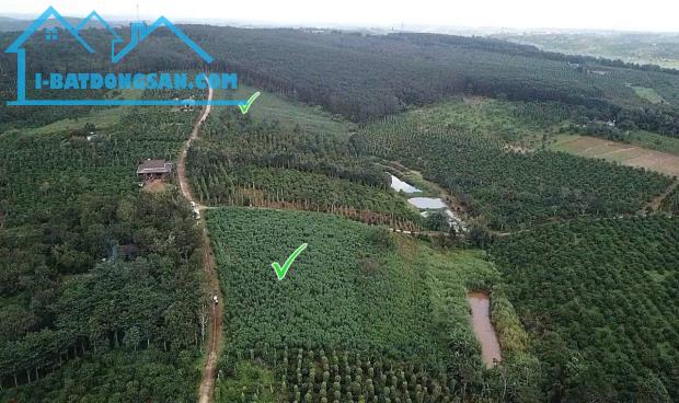 20 lô Đất 1315m², Đ.6m – Đắk Wer Tỉnh Đắk Nông 3xx tr