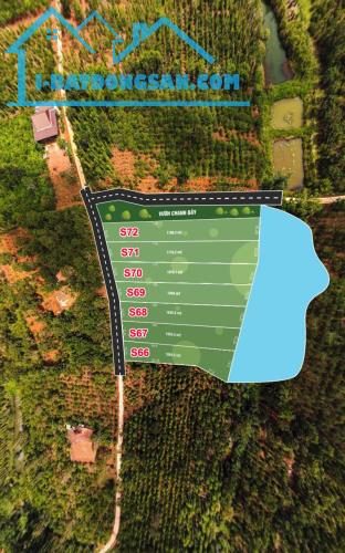 20 lô Đất 1315m², Đ.6m – Đắk Wer Tỉnh Đắk Nông 3xx tr - 1