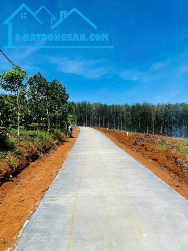 20 lô Đất 1315m², Đ.6m – Đắk Wer Tỉnh Đắk Nông 3xx tr - 3