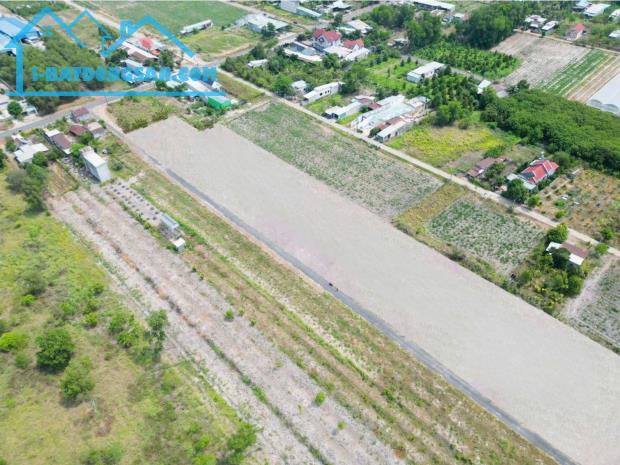 CHỈ 500TR ĐẤT MẶT TIỀN TRỪ VĂN THỐ, BÀU BÀNG