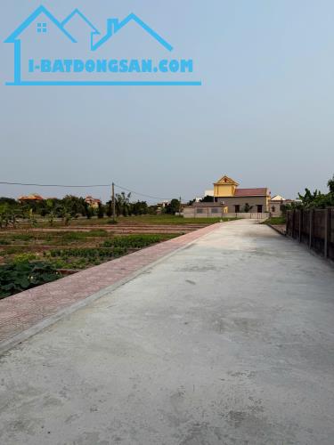 ĐẤT NỀN GIÁ RẺ TẠI TT THỊ TRẤN QUẤT LÂM NAM ĐỊNH CHỈ TỪ 1TỶ/LÔ - 1