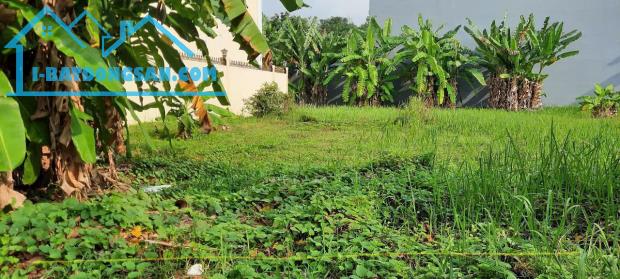 Bán gấp nền Biệt Thự 250m2 KDC Vạn Hưng Phú Huỳnh Tấn Phát Nhà Bè chỉ nhỉnh 11 tỷ - 1