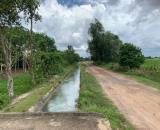 Đầu Tư Đất Nền Phan Thiết – Vị Trí Đẹp Hàm Thuận Bắc, Diện Tích Lớn, Giá Ưu Đãi