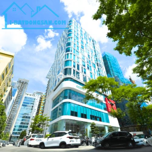 CHO THUÊ VĂN PHÒNG PHOENIX BUILDING – VỊ TRÍ ĐẮC ĐỊA, KHÔNG GIAN LÀM VIỆC CHUYÊN NGHIỆP T - 3