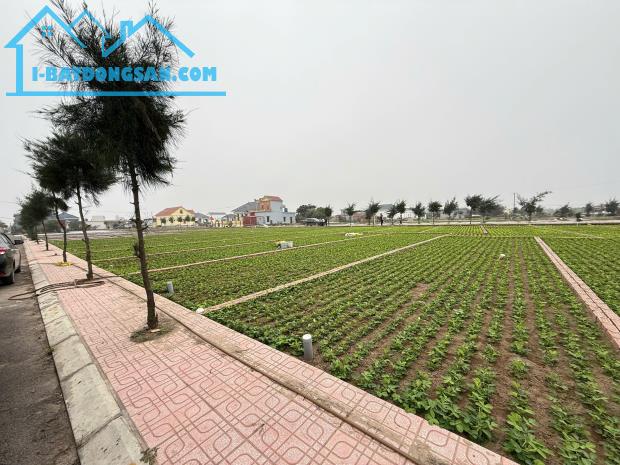 Bán đất thị trấn quất lâm gần quảng trường 90m2 chỉ nhỉnh 1 tỷ - 1