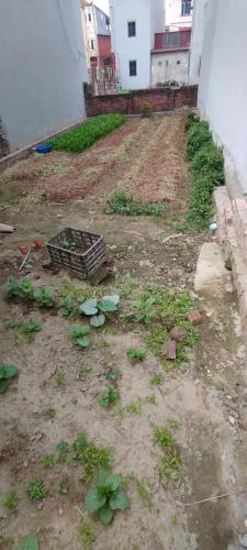 Bán 70m đất ở DO HẠ - TIỀN PHONG - MÊ LINH - HÀ NỘI - 2