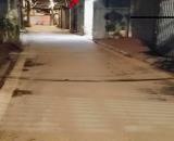 SIÊU HIẾM - 113M ĐẤT VÀNG - ĐỨC GIANG-LONG BIÊN - MT 4,6M - PHÂN LÔ - NGÕ Ô TÔ THÔNG 4 NG