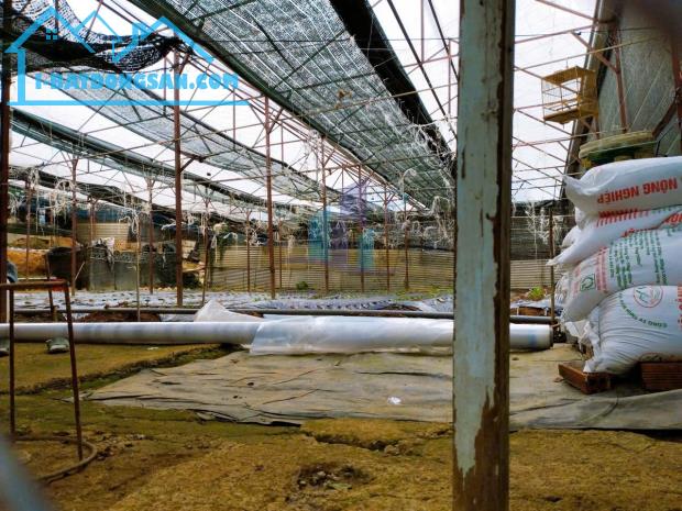 Bán Đất hẻm xe hơi đường Trịnh Hoài Đức, Phường 11, Đà Lạt 680,68mv - 2