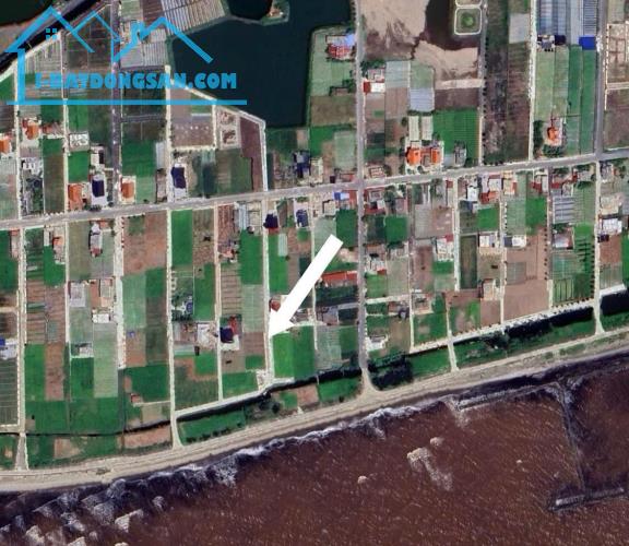 Bán đất biển Quất lâm 100m2, 5m mặt tiền, sát cạnh Flamingo