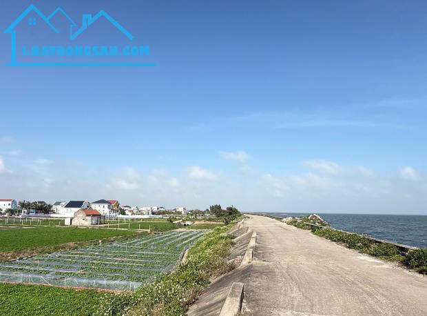 Bán đất biển Quất lâm 100m2, 5m mặt tiền, sát cạnh Flamingo - 1