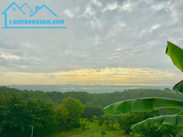 View hồ Trị An  – Đất đẹp nghỉ dưỡng – Chỉ 500tr/sào – Tiềm năng phát triển cao - 2