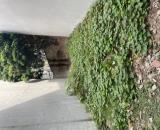 BÁN ĐẤT ĐẶNG XÁ 52M², Nhỉnh 4 tỷ. Ô TÔ TRÁNH XE MÁY, NGÕ THÔNG,  ĐẦU TƯ SINH LỜI CAO.