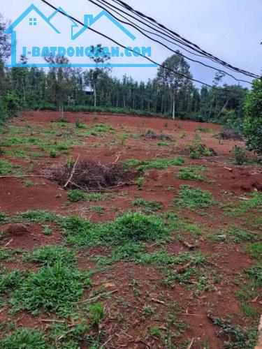 Đất Nền Mặt Tiền Kim Long Châu Đức – 1.974m² – Đường Nhựa, Sổ Hồng, Thích Hợp Làm Nhà Vườn