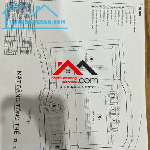 Bán Đất SKC 1ha Phước Hòa Phú Giáo Bình Dương – Đã Có GPXD, SKC 30 Năm, Giá Rẻ 2.5