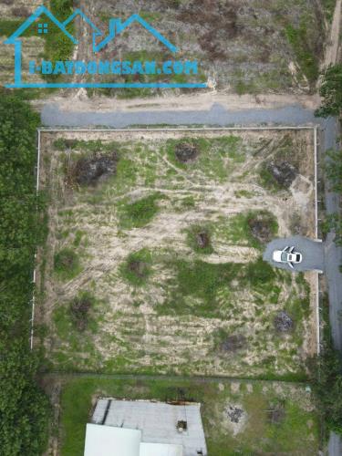 Bán lô đất đường DT 796, xã Ninh Điền, H. Châu Thành, Tây Ninh - 2