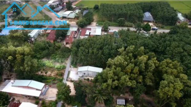 Bán lô đất đường DT 796, xã Ninh Điền, H. Châu Thành, Tây Ninh - 5