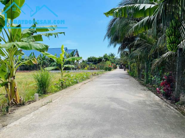Cần bán 10 nền đất đẹp tại Bệnh  viện Đa Khoa Tỉnh Tiền Giang.