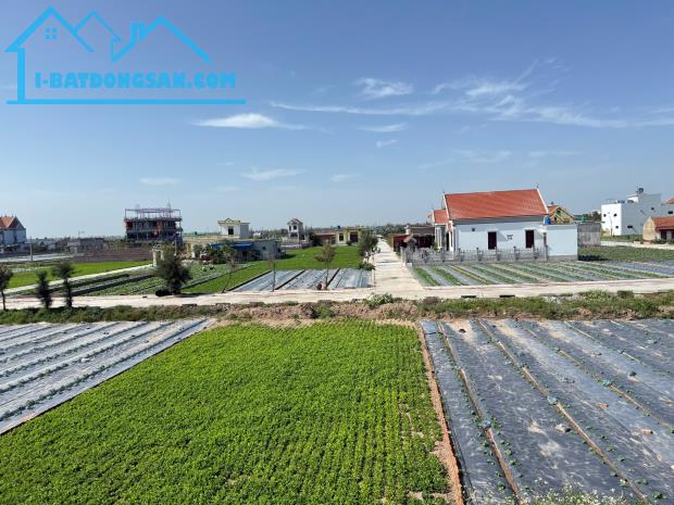Bán 85m2 sát biển giao phong quất lâm ngay cạnh Flamingo chỉ 1.x tỷ - 1