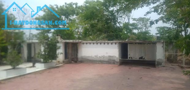 SỞ HỮU LÔ ĐẤT DT 5.145,3M2, THỔ CƯ 100M2, GIÁ TỐT NHẤT XÃ CHÂU PHA, PHÚ MỸ - 2