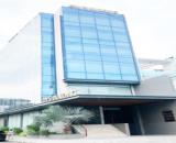 Bán Tòa Văn Phòng Mặt Phố Vũ Miện, Tây Hồ DT 220m2, 8T, MT 13m. Giá Cực Rẻ