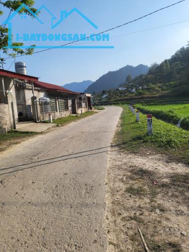 Bán Đất Cây Lâu Năm tại Mông Ân Bình Gia Thác Đăng Mò 1000m x 20m chỉ 20 Tỷ. - 2
