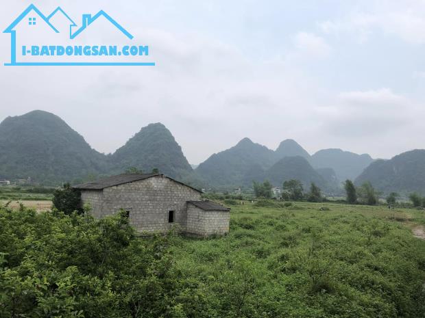 Bán Đất Cây Lâu Năm tại Mông Ân Bình Gia Thác Đăng Mò 1000m x 20m chỉ 20 Tỷ. - 3