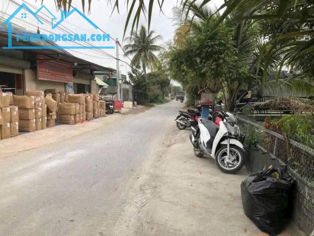 Bán đất Tân Phong - Kiến Thụy - Hải Phòng - 3