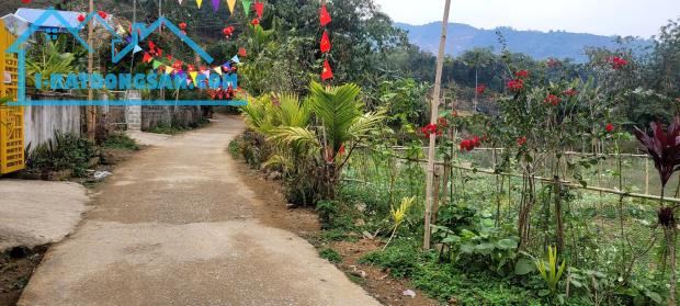 Cần chuyển nhượng 1000m2 đất Kim Bôi, Hòa Bình. - 2