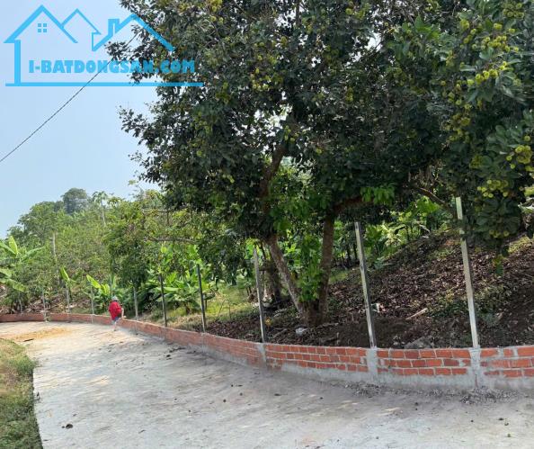 BÁN VƯỜN TRÁI CÂY đã thu hoạch - ngay khu dân cư - đường Ô TÔ vào tận đất - điện nước có