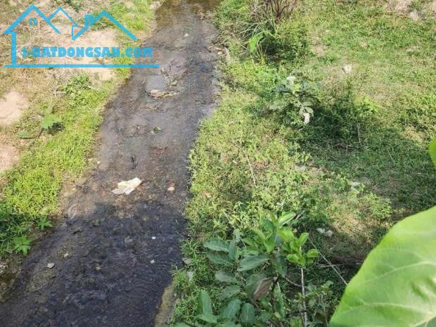 Bán đất vườn Khánh Hiệp quy hoạch thổ cư giáp suối mặt tiền đường K25 - 3