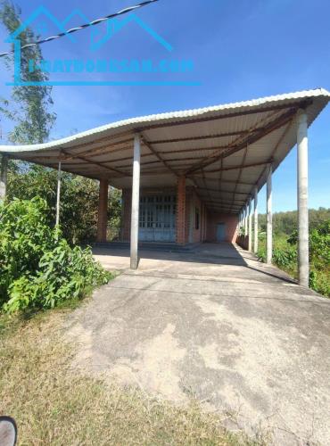 Chính Chủ Cần Bán Đất Có Nhà Tại Xã Phước Minh, Huyện Dương Minh Châu, Tây Ninh. - 2