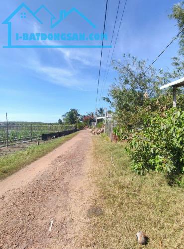 Chính Chủ Cần Bán Đất Có Nhà Tại Xã Phước Minh, Huyện Dương Minh Châu, Tây Ninh. - 4