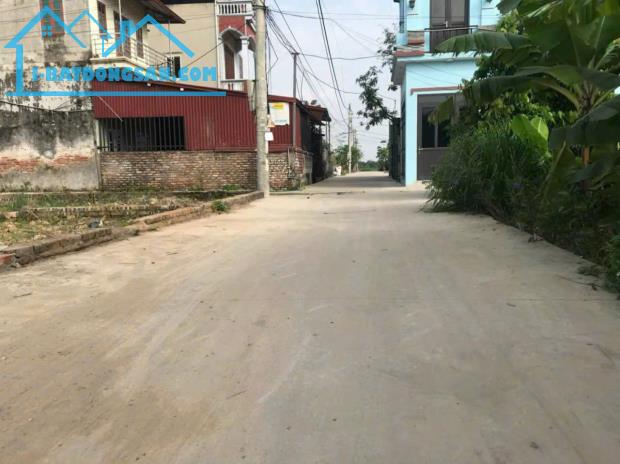 Bán đất dịch vụ tổ 5, TT Quang Minh, Mê Linh. Tặng nhà C4, đang cho thuê kinh doanh - 1