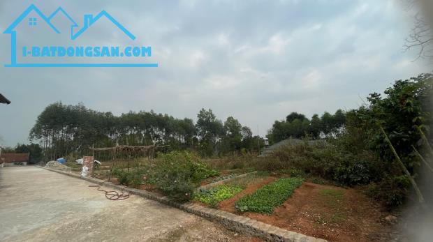 💎 HỒ THANH – NGHĨA HÒA – GẦN CỤM CÔNG NGHIỆP – GIÁ CHỈ 640 TRIỆU 💎 - 1