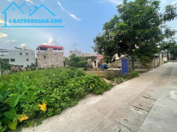 Chính chủ gửi bán Tổ 9, TT Quang Minh Mê Linh,Hà Nội - 1