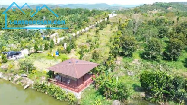 BÁN ĐẤT NHÀ VƯỜN BẢO LỘC – GIÁ F0 CHỈ 690 TRIỆU - 1