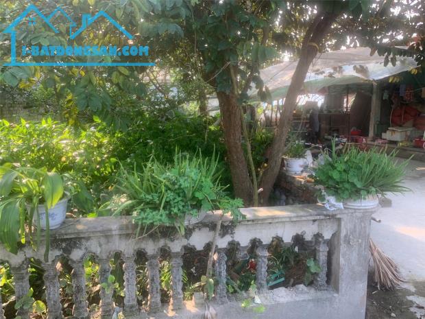 CẦN BÁN NHANH LÔ ĐẤT  TẠI  Xã Đông Thịnh, Huyện Đông Sơn, Thanh Hóa - 2