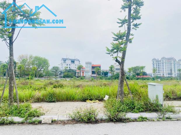 Bán lô Lk22-10 Băc Đầm Vạc, Vĩnh Yên. DT 126m2 - 3