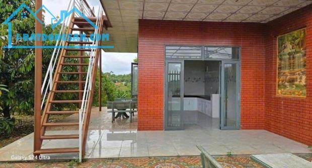 CẦN TIỀN NÊN BÁN GẤP VƯỜN SẦU RIÊNG 300 CÂY ĐÃ CÓ NHÀ TRÊN ĐẤT ĐIỆN NƯỚC ĐẦY ĐỦ DỌN VÀO Ở - 1