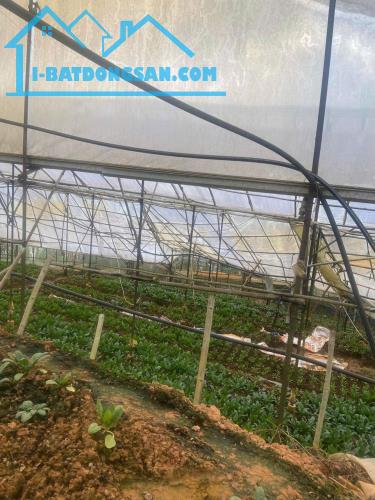 ĐẤT ĐẸP – GIÁ  TỐT - CẦN BÁN  LÔ Đất Đường Cam Ly, Phường 5, TP Đà Lạt, Lâm Đồng.