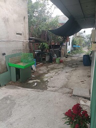 Chính chủ cần bán nhà Hẻm E14 Bình Chánh - TP Hồ Chí Minh - 4