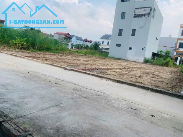 Bán đất tổ 9 thị trấn Quang Minh, Mê Linh. Gần KCN và trường CD Y Dược Tuệ Tĩnh - 1